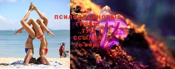 каннабис Коряжма