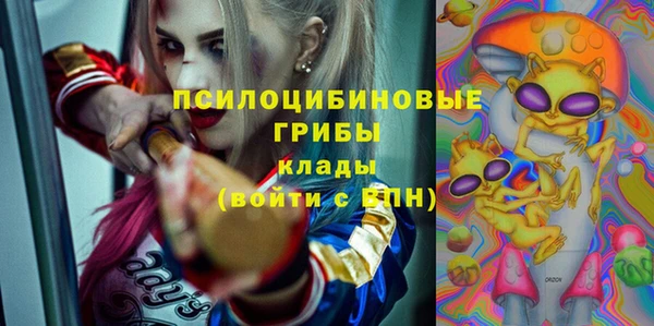2c-b Козловка