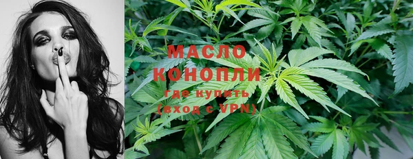 гашик Сосновка