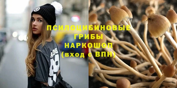 2c-b Козловка