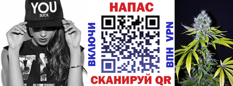 купить  сайты  Михайловка  Бошки марихуана индика 